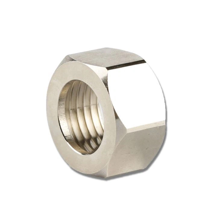 DIN Standard Metal Hollow Nuts