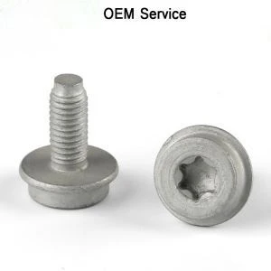 پیچ پیچ سر ماشین واشر Torx